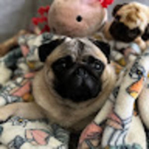 Meet your Posher, Lew